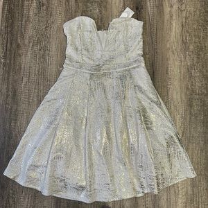 Cream & Gold Party Dress (NWT)